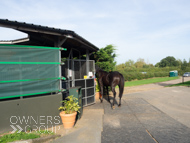 DS091023-79 - Dan Skelton stable visit